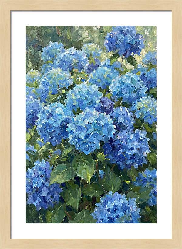 Hydrangeas In Vibrant Blue