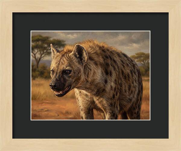 Hyena In The Wild