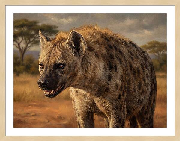 Hyena In The Wild