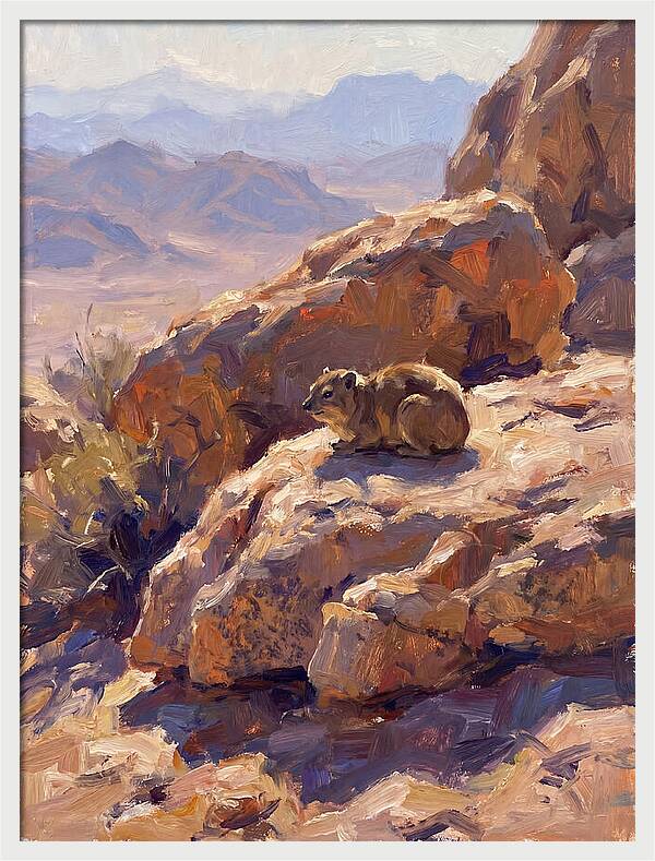Hyrax Resting On Rocky Outcrop