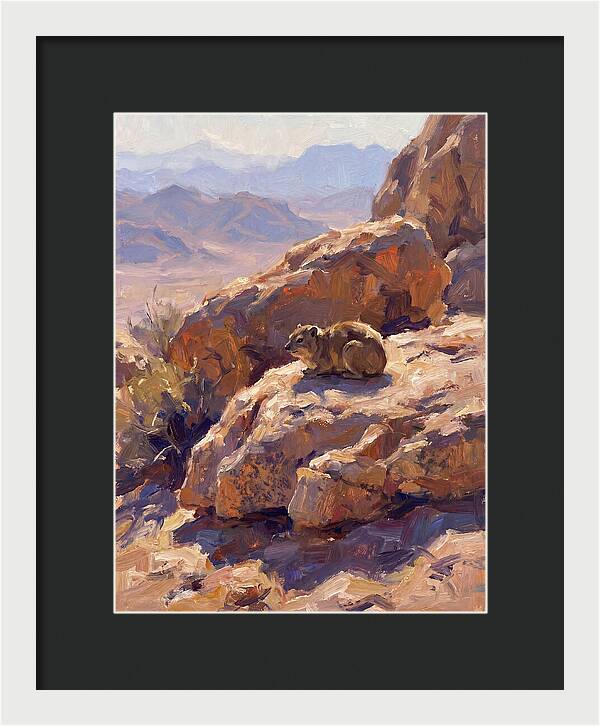 Hyrax Resting On Rocky Outcrop