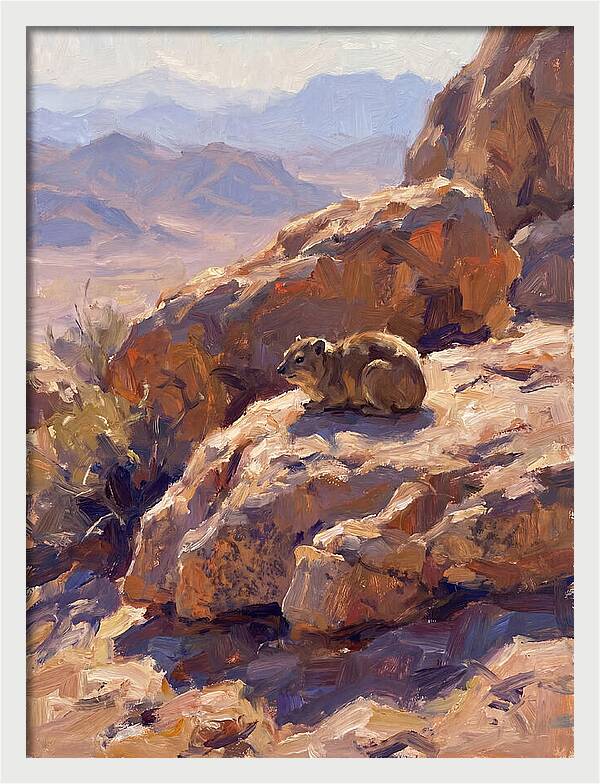 Hyrax Resting On Rocky Outcrop