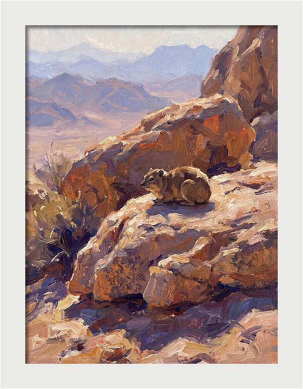 Hyrax Resting On Rocky Outcrop