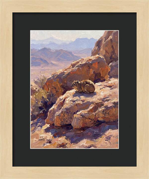 Hyrax Resting On Rocky Outcrop