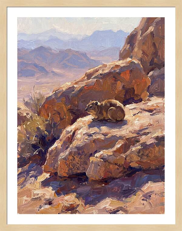 Hyrax Resting On Rocky Outcrop