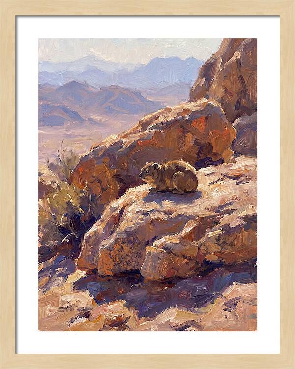 Hyrax Resting On Rocky Outcrop