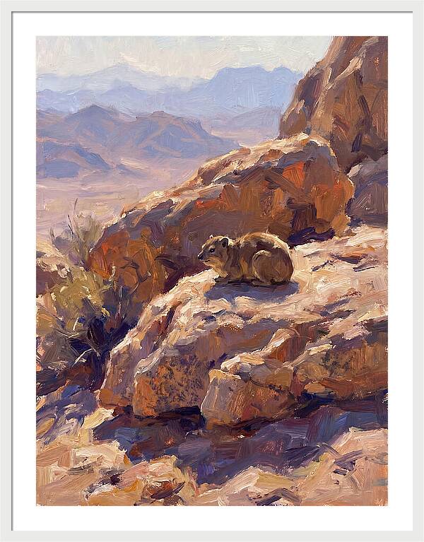 Hyrax Resting On Rocky Outcrop