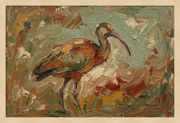Ibis In Earthy Tones