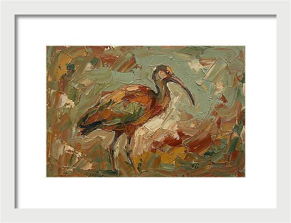 Ibis In Earthy Tones