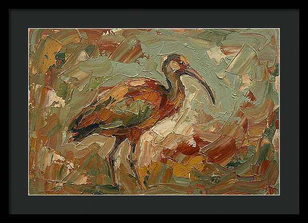 Ibis In Earthy Tones