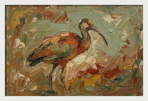 Ibis In Earthy Tones