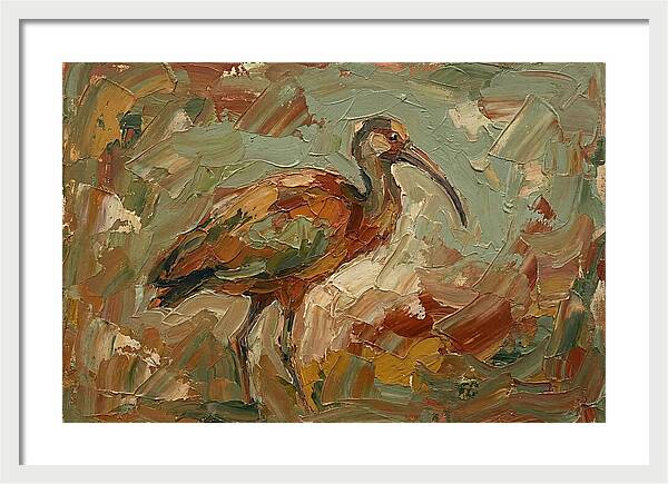 Ibis In Earthy Tones