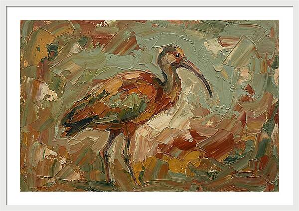 Ibis In Earthy Tones