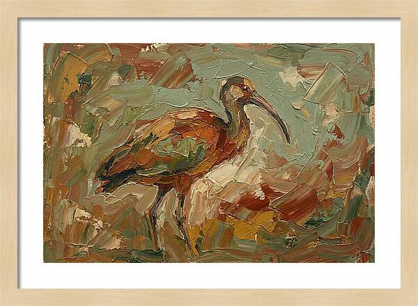 Ibis In Earthy Tones