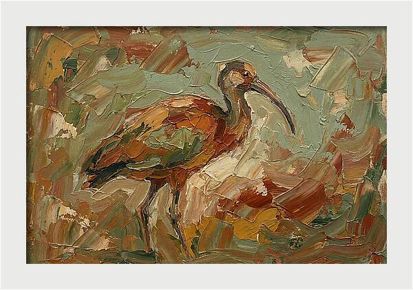Ibis In Earthy Tones