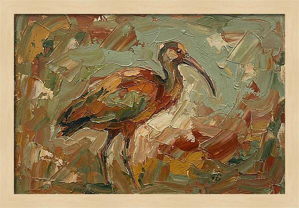 Ibis In Earthy Tones