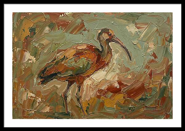 Ibis In Earthy Tones