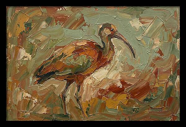 Ibis In Earthy Tones