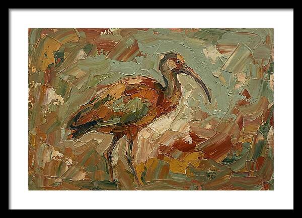 Ibis In Earthy Tones