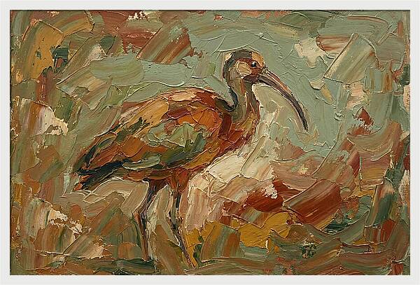 Ibis In Earthy Tones