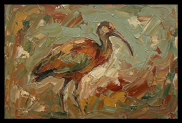 Ibis In Earthy Tones