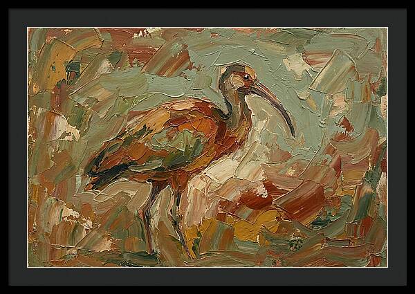 Ibis In Earthy Tones