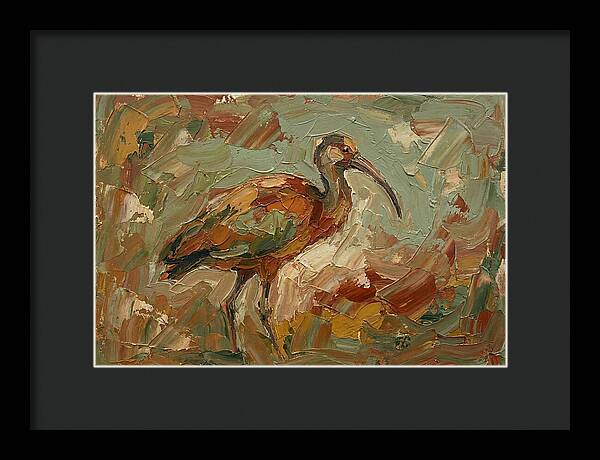 Ibis In Earthy Tones