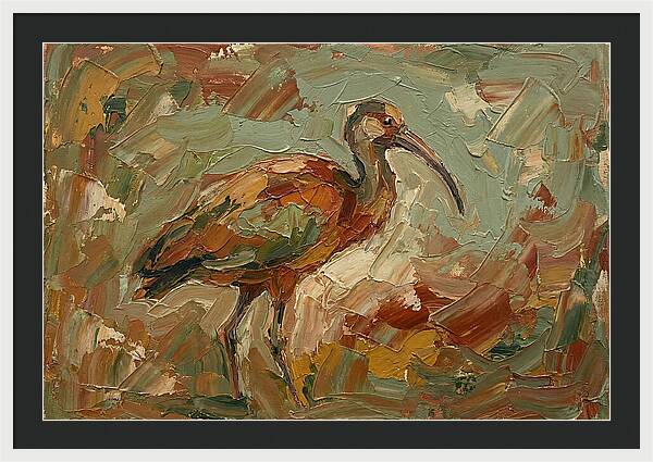 Ibis In Earthy Tones