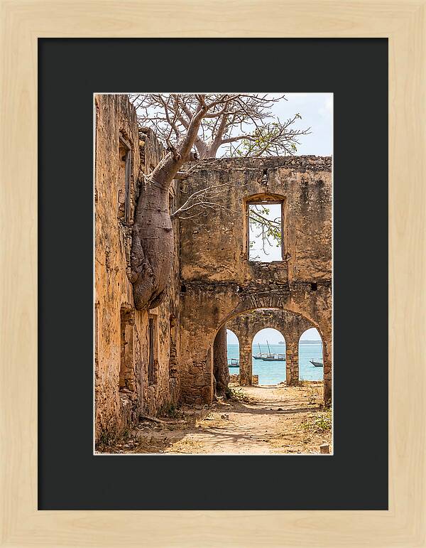 Ibo Island Ruins Embraced By Nature