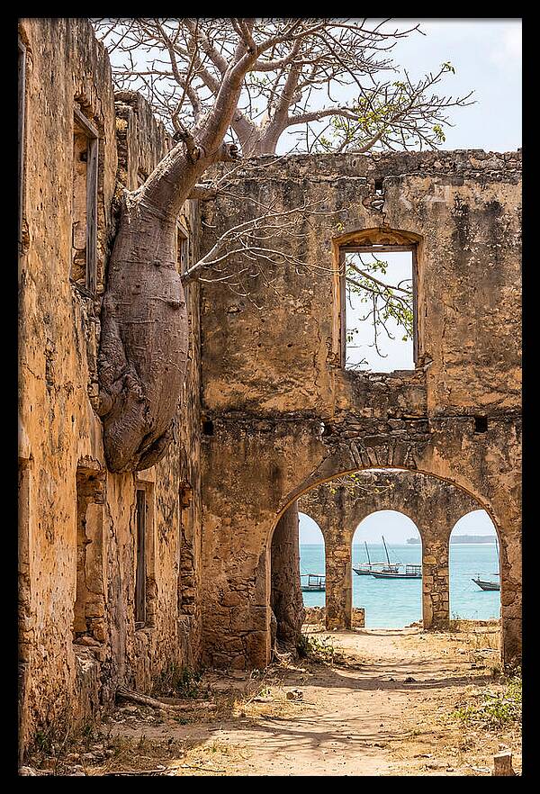 Ibo Island Ruins Embraced By Nature