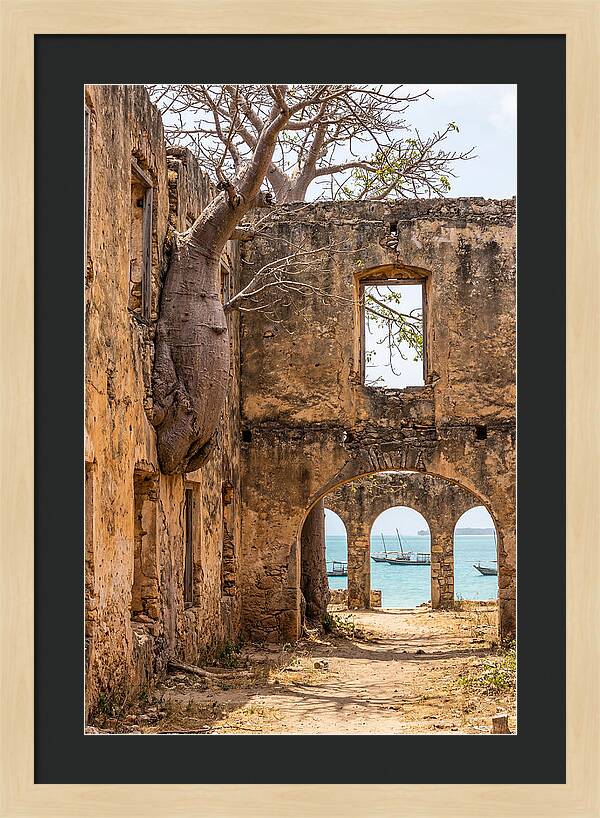 Ibo Island Ruins Embraced By Nature