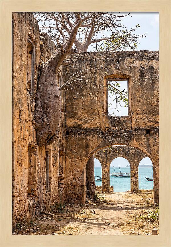Ibo Island Ruins Embraced By Nature