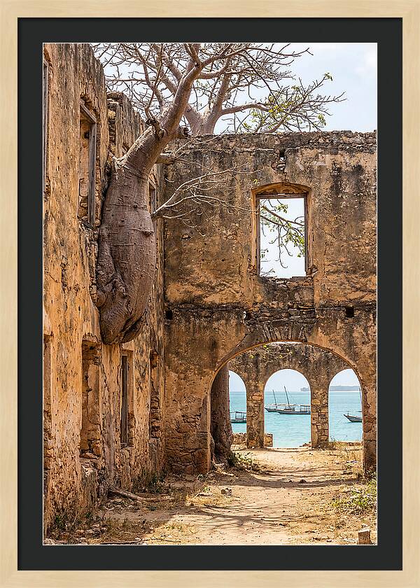 Ibo Island Ruins Embraced By Nature