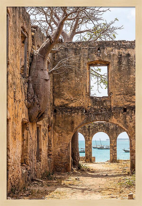 Ibo Island Ruins Embraced By Nature