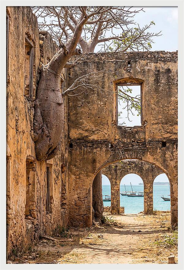 Ibo Island Ruins Embraced By Nature