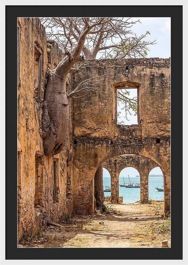Ibo Island Ruins Embraced By Nature