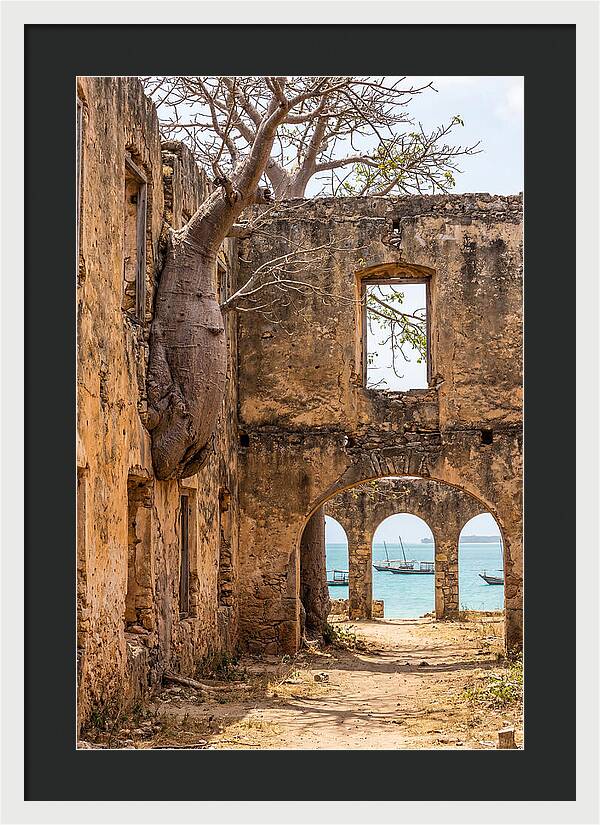 Ibo Island Ruins Embraced By Nature