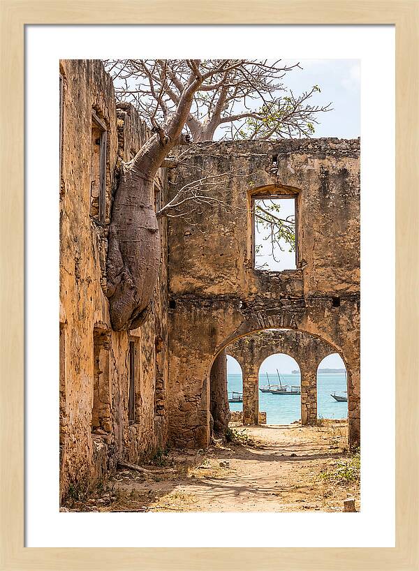 Ibo Island Ruins Embraced By Nature