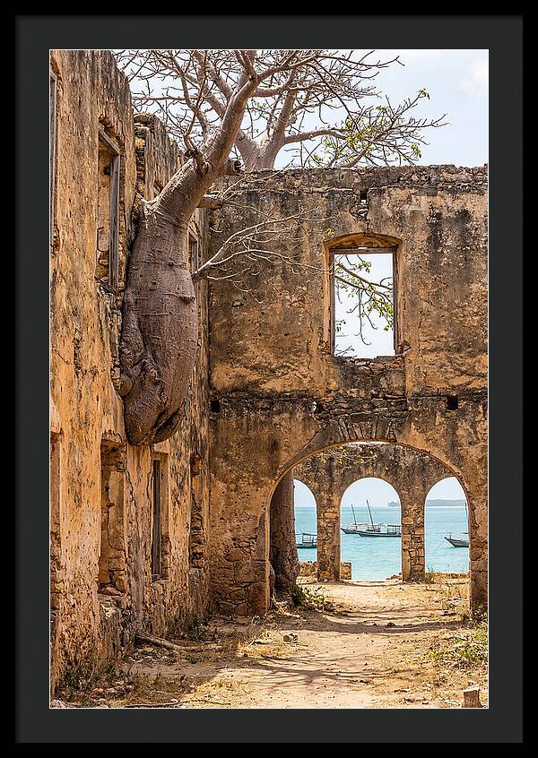 Ibo Island Ruins Embraced By Nature