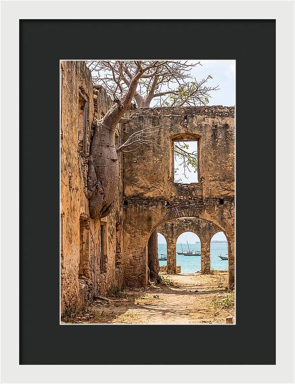 Ibo Island Ruins Embraced By Nature