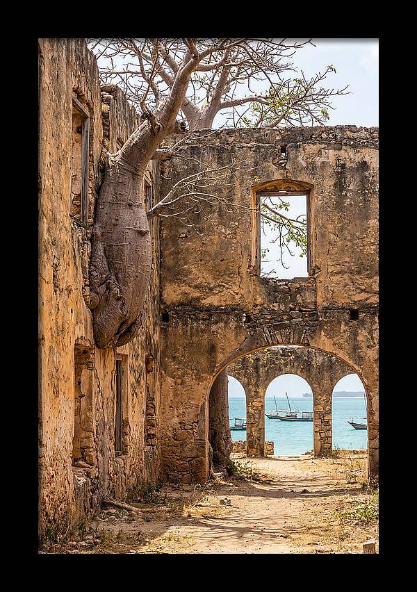 Ibo Island Ruins Embraced By Nature