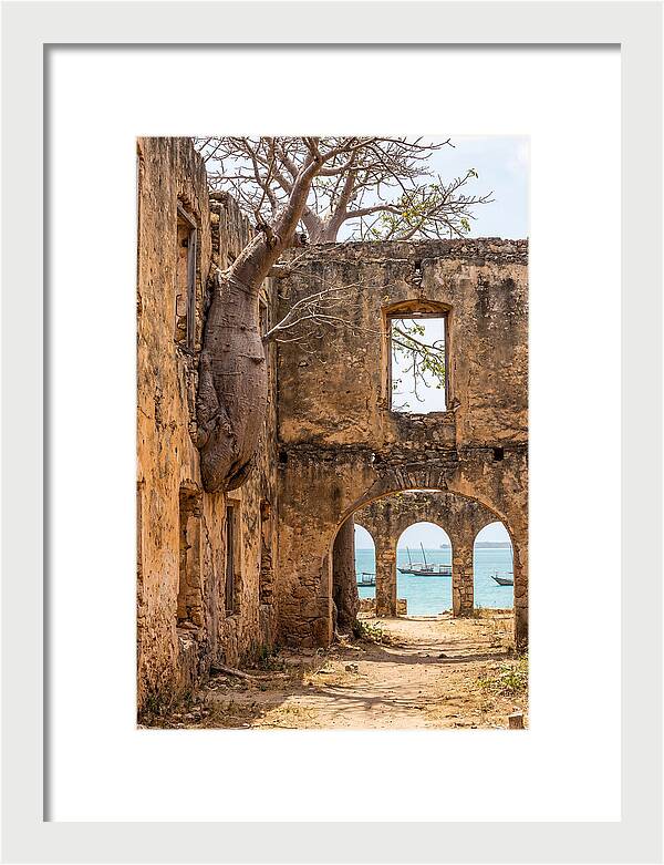 Ibo Island Ruins Embraced By Nature