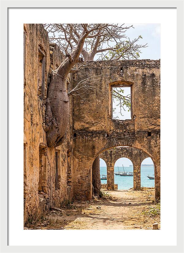 Ibo Island Ruins Embraced By Nature