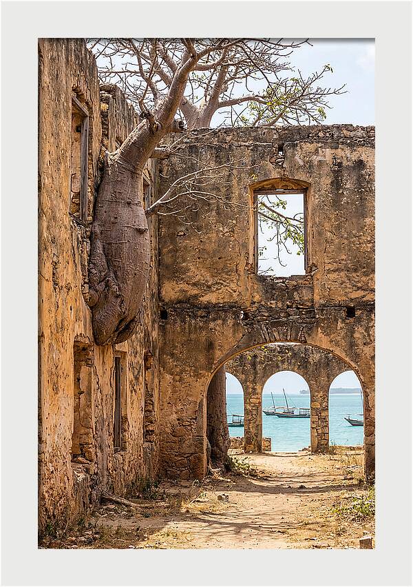 Ibo Island Ruins Embraced By Nature