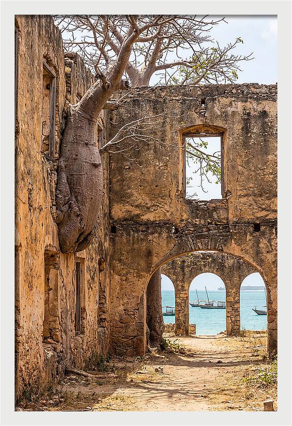 Ibo Island Ruins Embraced By Nature