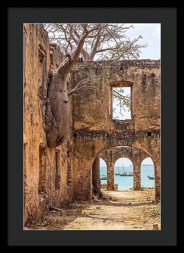 Ibo Island Ruins Embraced By Nature