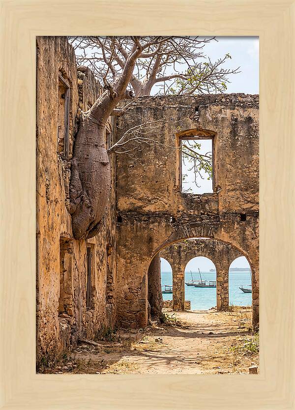 Ibo Island Ruins Embraced By Nature