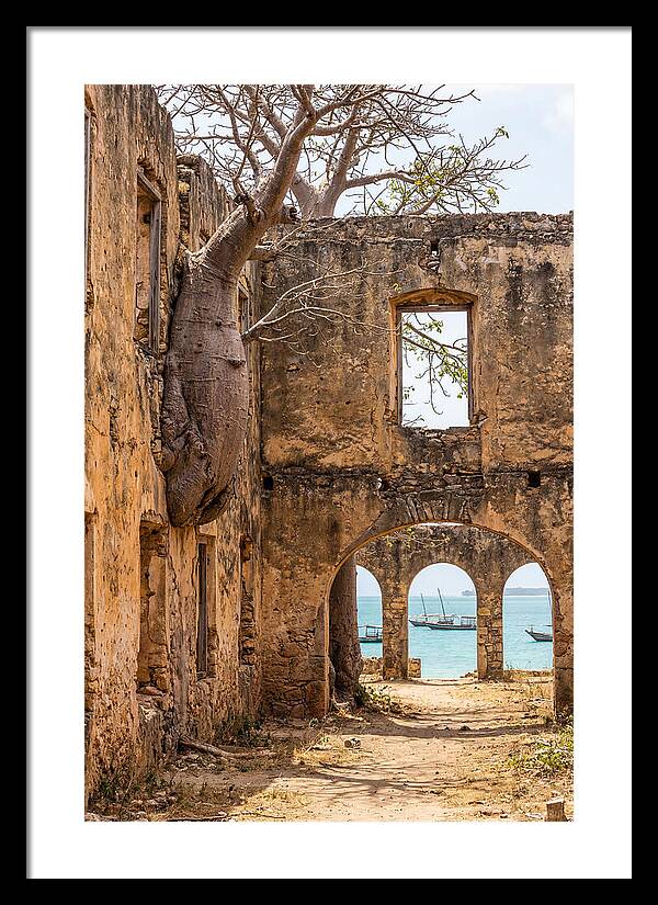 Ibo Island Ruins Embraced By Nature