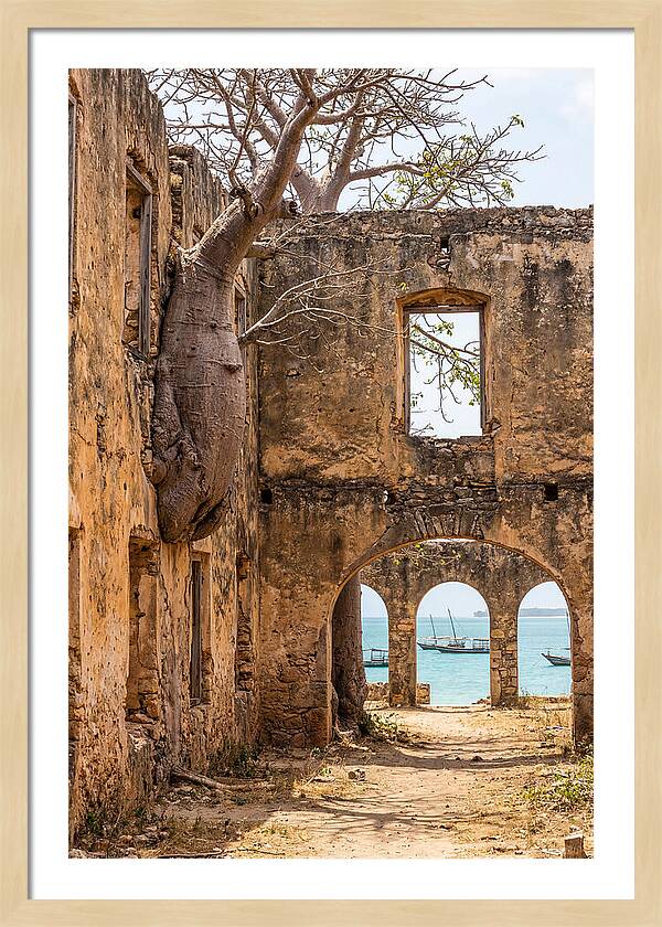 Ibo Island Ruins Embraced By Nature