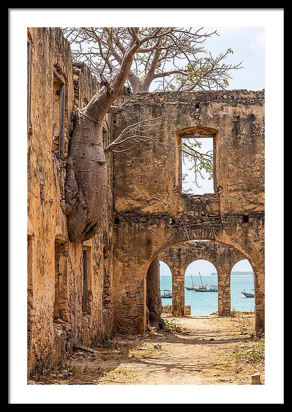 Ibo Island Ruins Embraced By Nature